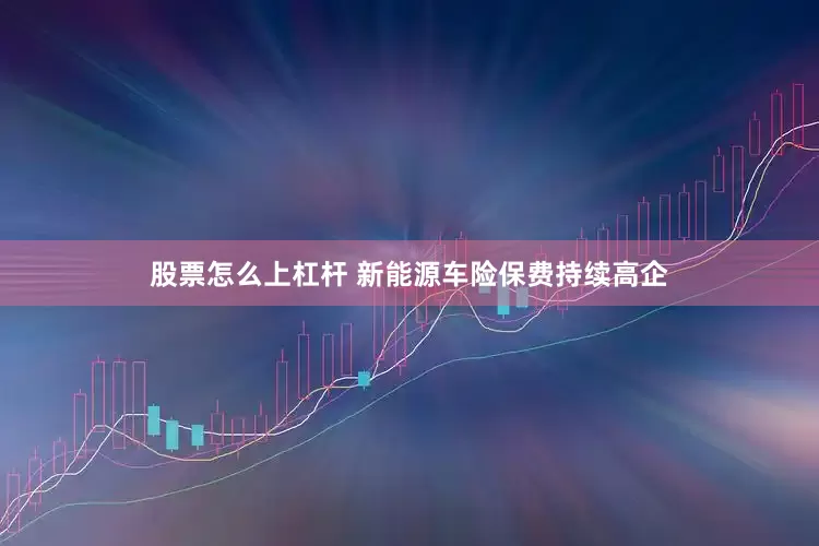 股票怎么上杠杆 新能源车险保费持续高企